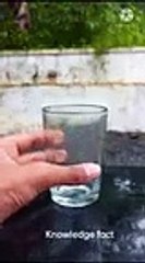 Electrolysis_of_water_|_amazing_physics_experiment_#facts_#shorts(144p)