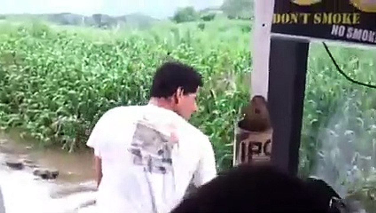 6 Crocodile Encounters You Should Avoid Watching (Part 3)