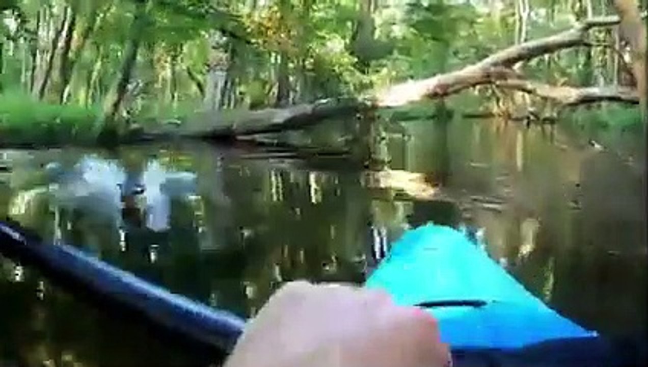 6 Crocodile Encounters You Should Avoid Watching (Part 2)