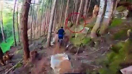 7 Bear Encounters That Will Stress You Out