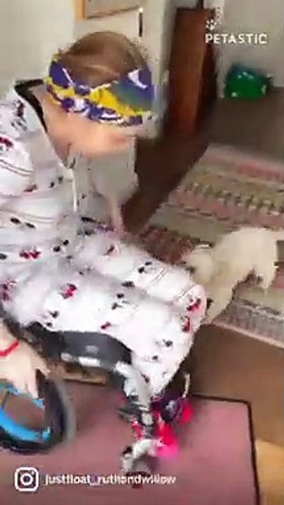 Woman with multiple medical conditions reunites with her puppy   PETASTIC