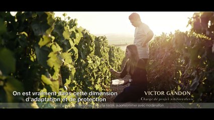 Savoir (re)faire Bande-annonce VF