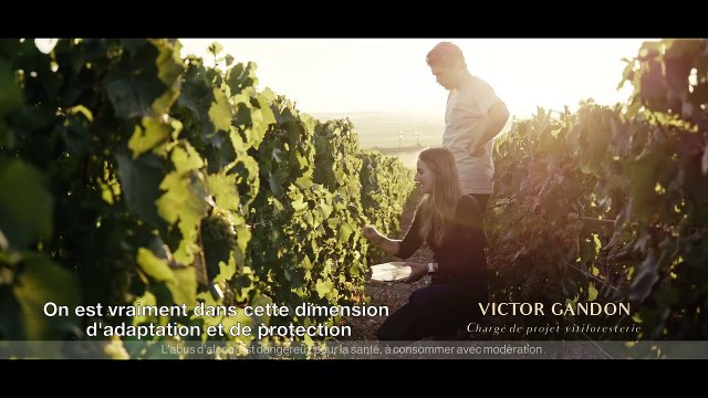 Savoir (re)faire Bande-annonce VF