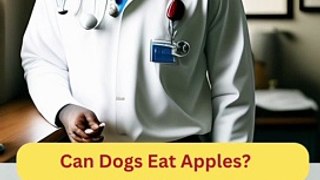 Can Dogs Eat Apples