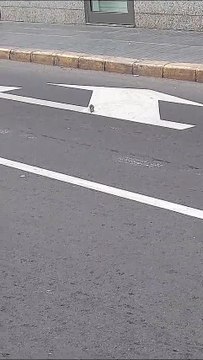 Vídeo de ratas en Las Palmas de Gran Canaria