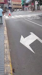 Vídeo de ratas en Las Palmas de Gran Canaria