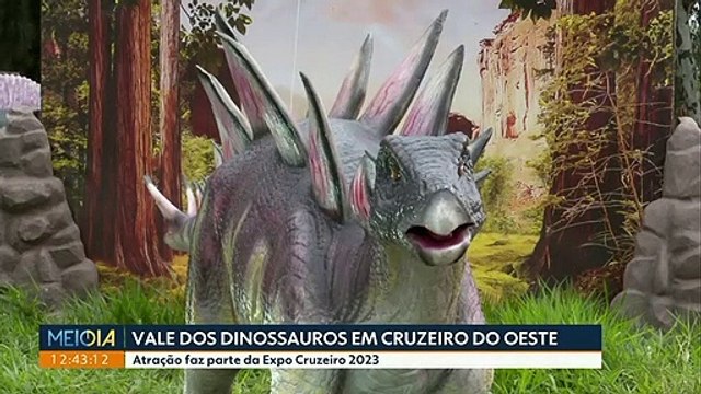 EXPOSIÇÃO EM CRUZEIRO DO OESTE-PR