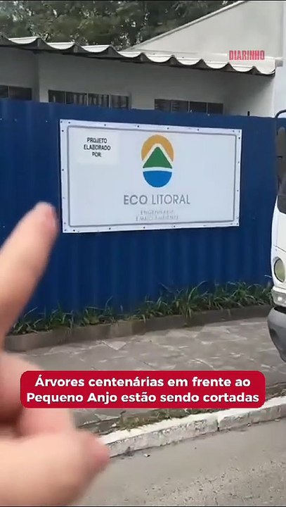Árvores centenárias em frente ao Pequeno Anjo estão sendo cortadas