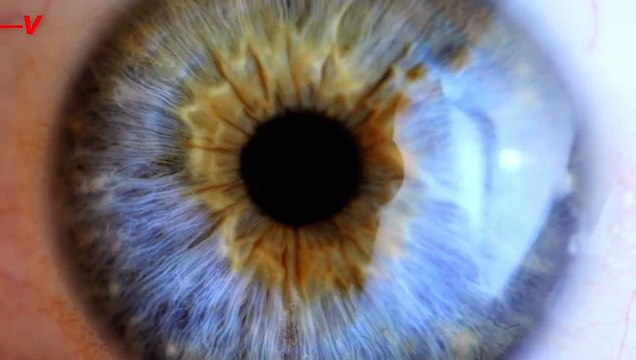 75% of Pilots Surveyed Said They Took ‘Uncontrolled’ ‘Microsleeps’ In-Flight