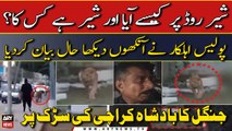 Loin Spotted at Shahrah e Faisal Karachi | Police Officer's Reaction