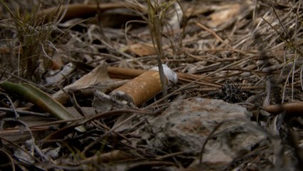 A la Une du JT, restons vigilants face au risque feux de forêts