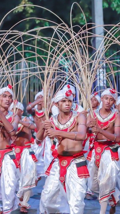 Kandy Perahera