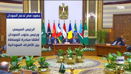 تعرف على جهود مصر لدعم السودان