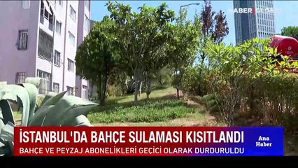 Su tasarrufunda bilinçli miyiz? İstanbul'da bahçe sulaması kısıtlandı