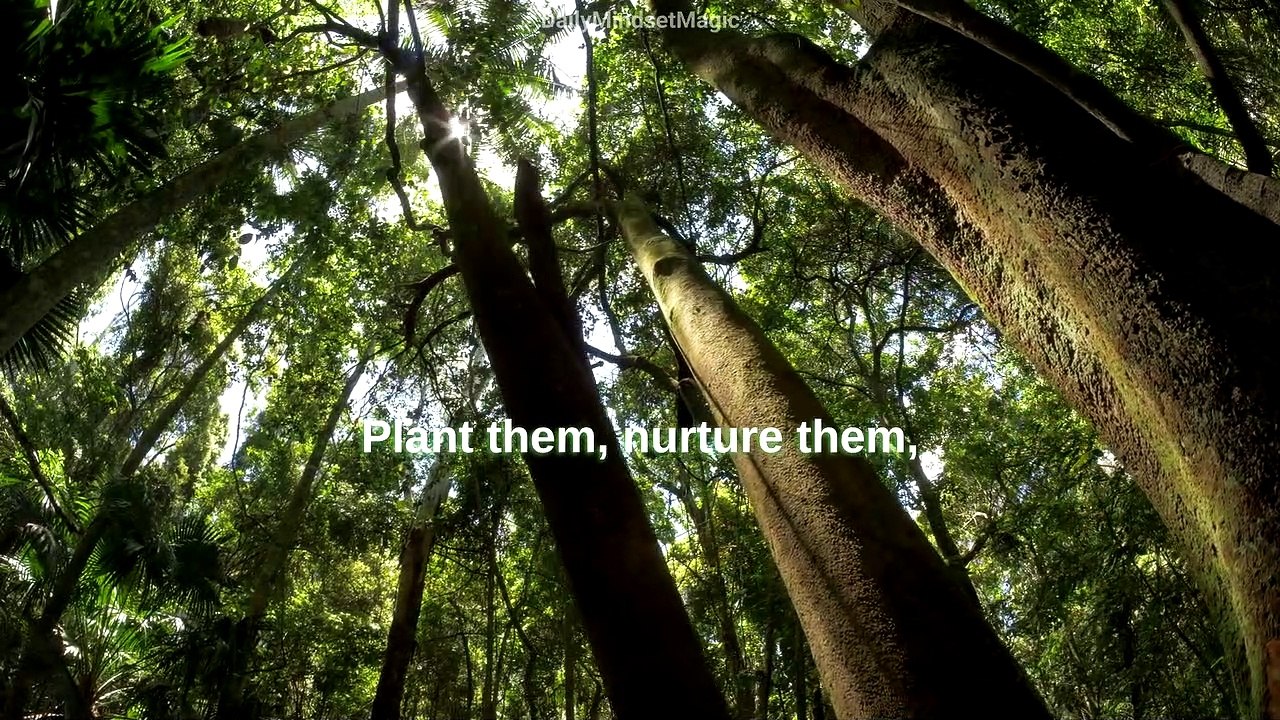 Fueling Greatness | Motivational Quote | #DailyMindsetMagic | #Motivation #Mindset #Lifestyle #Mentality #Inspiration #Quotes #Positive #Deep #Dream #Shorts #Reels #TikTok