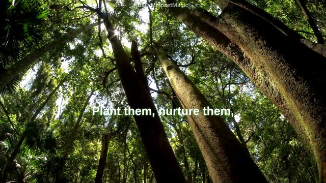 Fueling Greatness | Motivational Quote | #DailyMindsetMagic | #Motivation #Mindset #Lifestyle #Mentality #Inspiration #Quotes #Positive #Deep #Dream #Shorts #Reels #TikTok