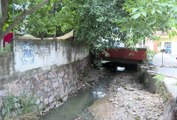 Vecinos denuncian arroyo de aguas negras en colonia Del Toro