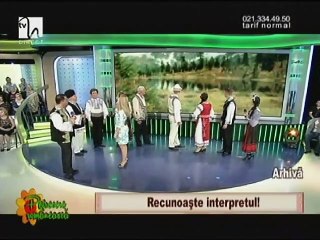 Recunoaste interpretul! - Dumitru Sopon (Petrecere romaneasca - Tvh - 26.10.2013)