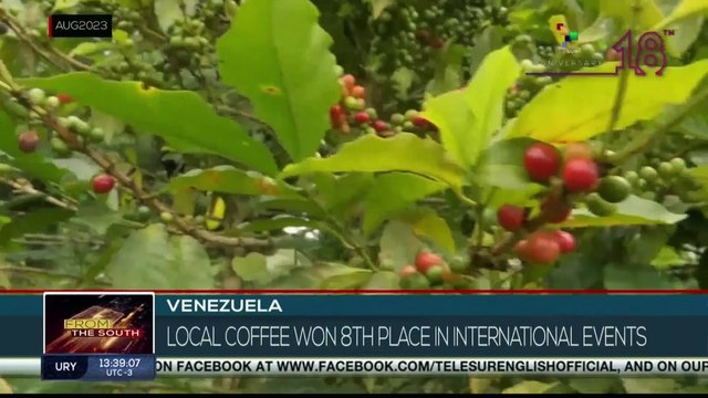 FTS 12:30 29-08: Electoral authorities confirm triumph of Semilla Movement in Guatemala