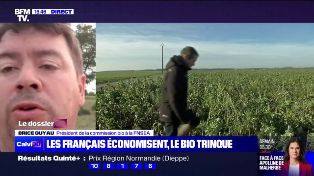 Inflation: face à la baisse des ventes des produits bio, les agriculteurs ne font plus le choix de se convertir selon Brice Guyau, président de la commission bio de la FNSEA