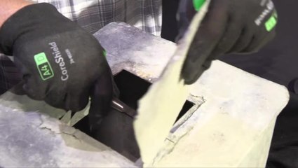 Time capsule from 1828 reveals surprising discovery