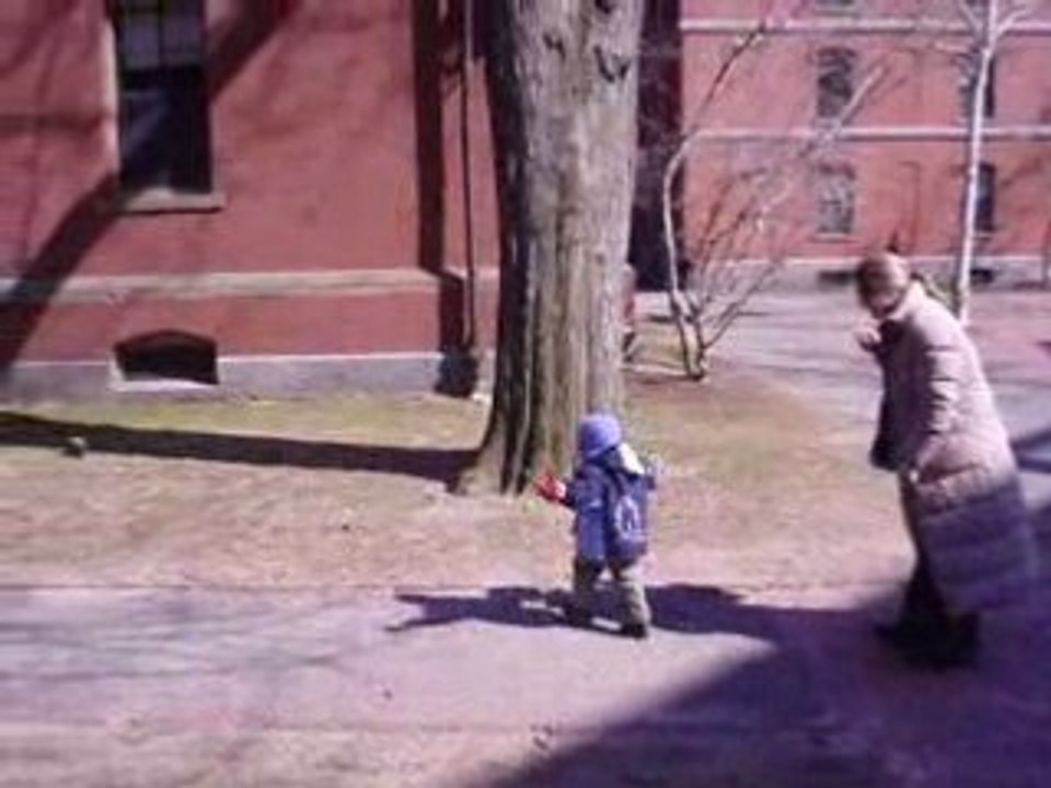 chasse aux pigeons d'Harvard (c'est plus chic)