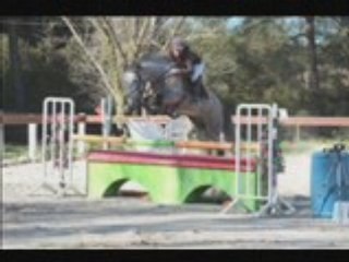 Concour sthubert mars 2008