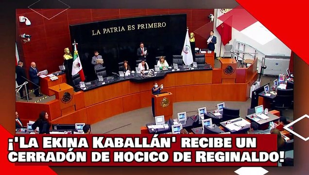 ¡VEAN! ¡la Ekina Kaballán lacaya del Sr. X. Narko Cortés recibe un cerradón de hocico de Reginaldo!