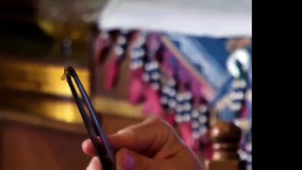 margaret loves to sting bees