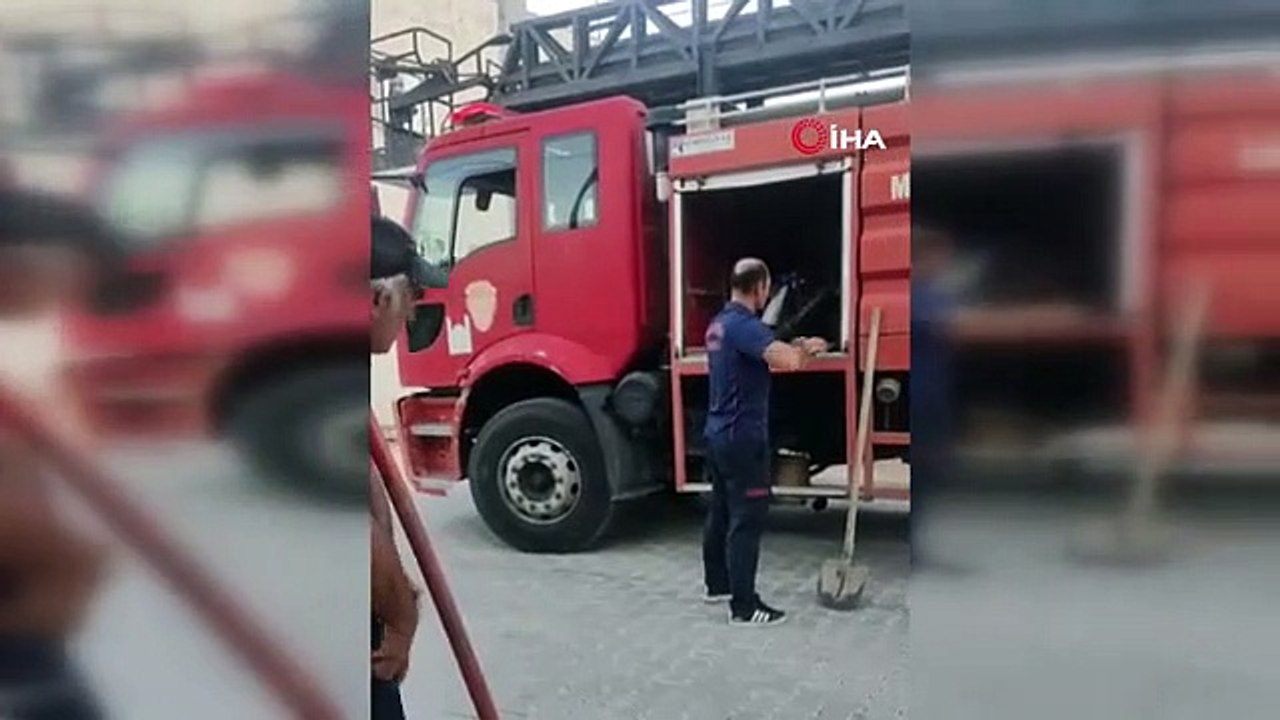 Les pompiers ont sauvé la tortue jetée dans la poubelle souterraine
