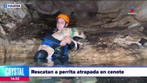 Rescatan a perrita atrapada en un cenote de Yucatán