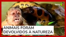 Macaco-prego é capturado por sucuri e salvo por turistas no MS