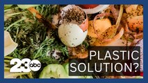 Turning Food Waste into Plastic