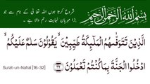 Surah An-Nahl | سورة النحل | Surah 16 Ayat 32 | Surat-Un-Nahal | Quran With Urdu Translation  #surahannahl #tilawat #verseoftheday #quran