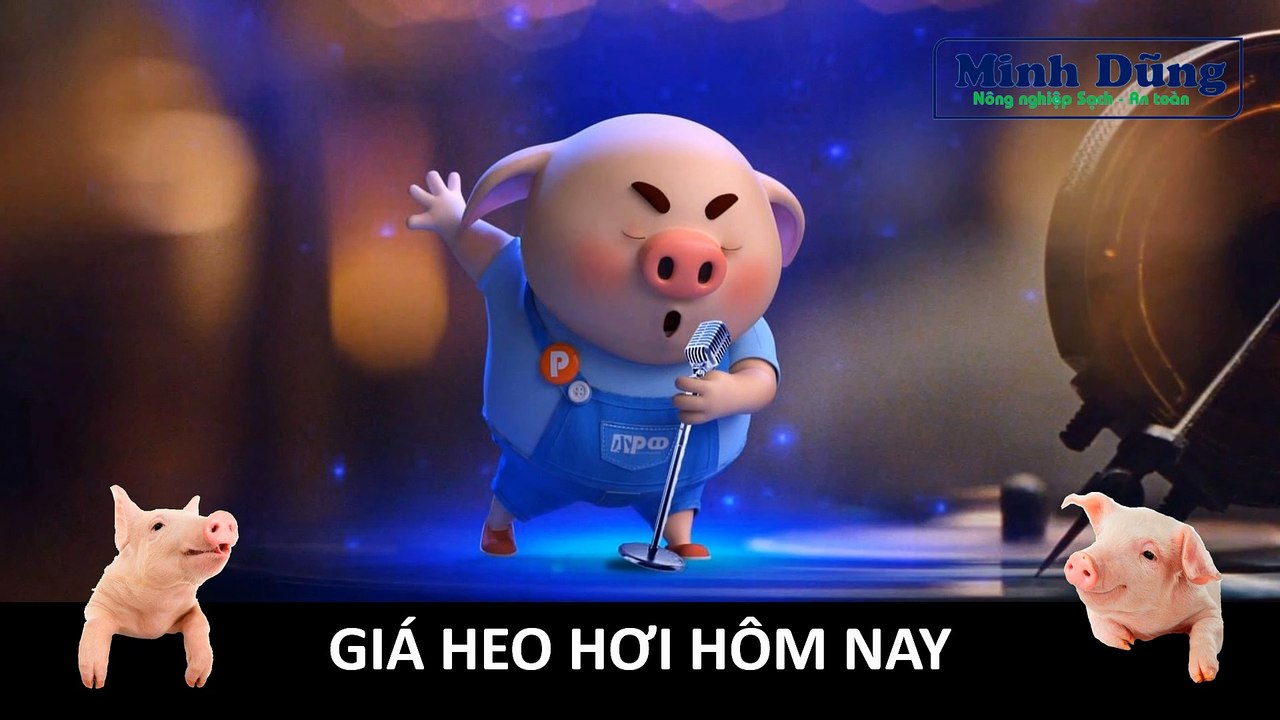 Giá heo hơi hôm nay 31/8/2023 | Giá heo hơi mới nhất | Giá lợn hơi mới nhất | Giá heo | Giá lợn