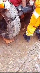 Cachorro preso em roda de caminhão é salvo por Bombeiros; veja vídeo