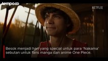 Besok Harinya 'Nakama', One Piece Live Action Resmi Tayang di Netflix