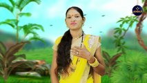 Raja Kaise Bhulaye Re - राजा कइसे भुलाये रे - Rani Sahu - CG Love Song - Sangwari