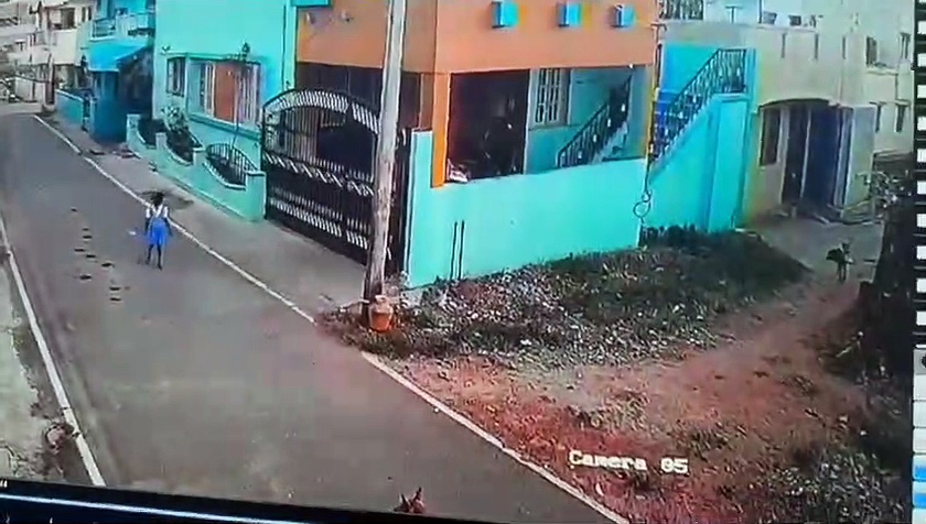 சாலையில் நடந்து சென்ற சிறுமியை சுத்துபோட்ட தெரு நாய்கள்; பலத்த காயங்களுடன் மருத்துவமனையில் அனுமதி