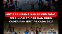 Artis PAN Ramaikan Pilgub 2024_ Selain Caleg DPR dan DPRD, Kader Artis PAN Juga Ikut Pilkada 2024.