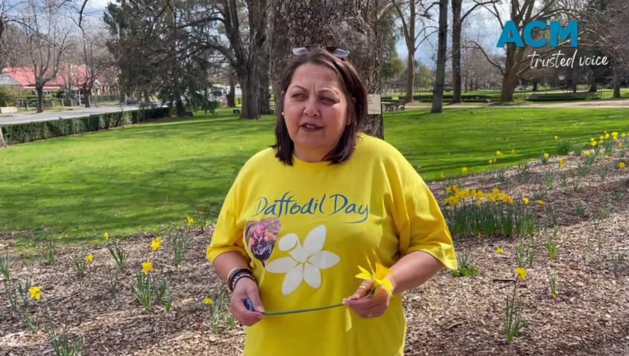 Daffodil Day volunteer