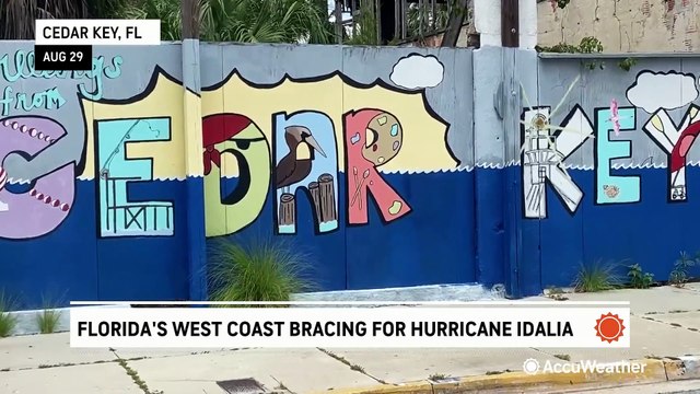 Winds picking up in the path of Hurricane Idalia the night before landfall