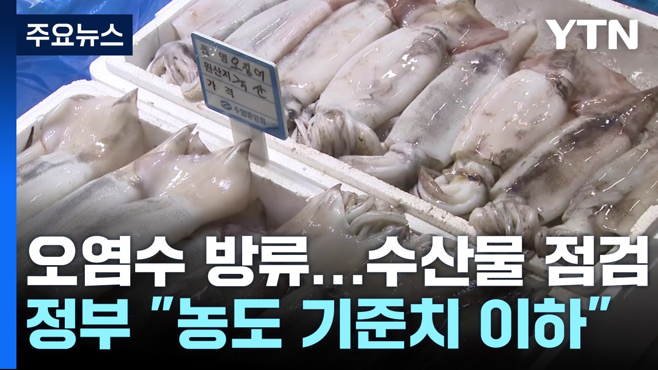 수산물 불안에 소비 위축 우려...'일본산' 집중 점검 / YTN