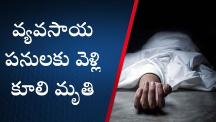 కడప జిల్లా: కూలీ పని చేస్తుండంగా... కుప్పకూలిన వ్యవసాయ కూలీ