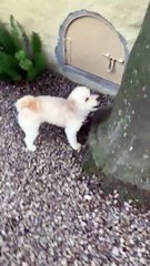 Ils obtiennent le meilleur de moi