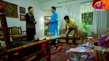 Pakistani Drama Dil Nawaz Episode - 24