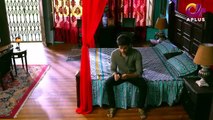 Pakistani Drama Dil Nawaz Episode - 17