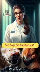 Can Dogs Eat Blueberries