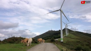 Basque Country |  The animals of Mount Oiz  | Euskadi 24 Television