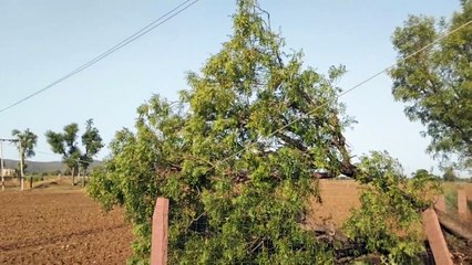 पारा उछलने पर गर्मी के तीखे तेवर